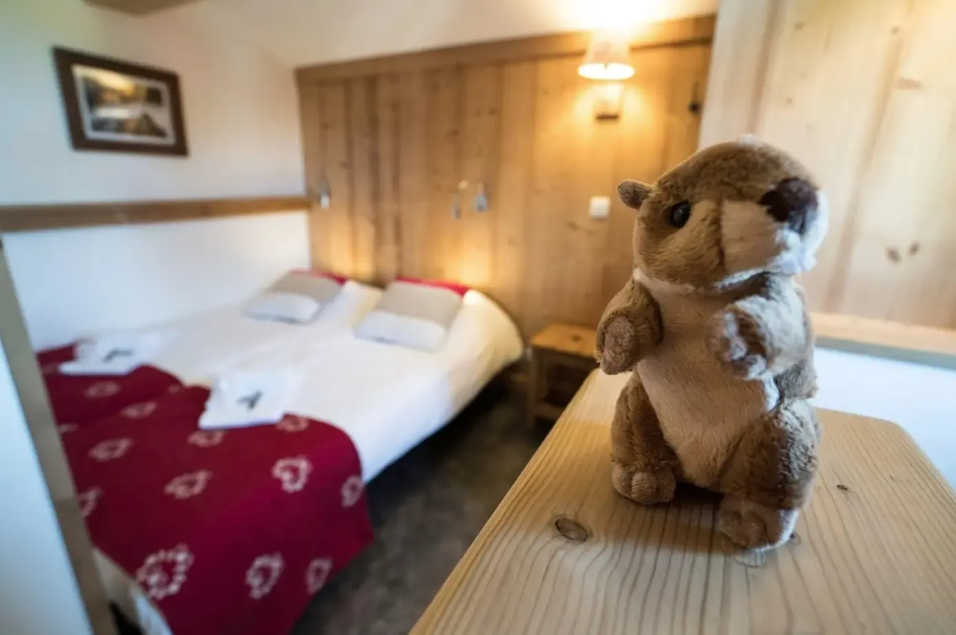 Chambre Flocons Verts Carroz Arach