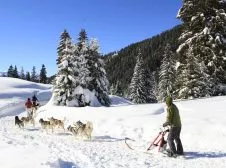 Les Flocons Verts – Groupe