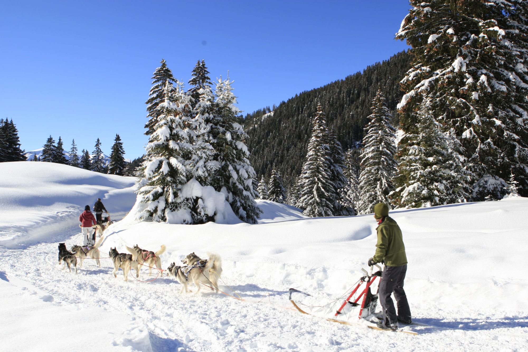 Les Flocons Verts – Groupe