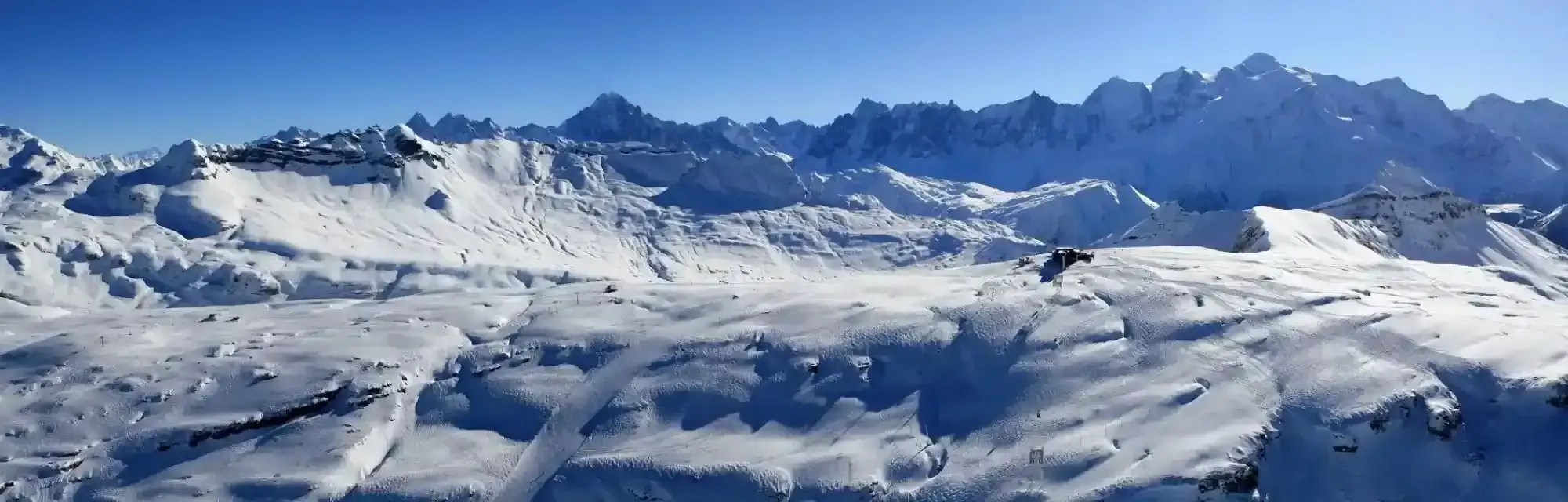 Les Flocons Verts ***