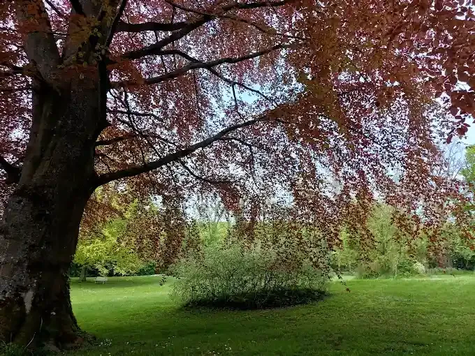Le manoir De La Canche Paysage
