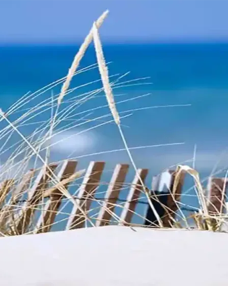 La côte d'Azur, un paysage de carte postale