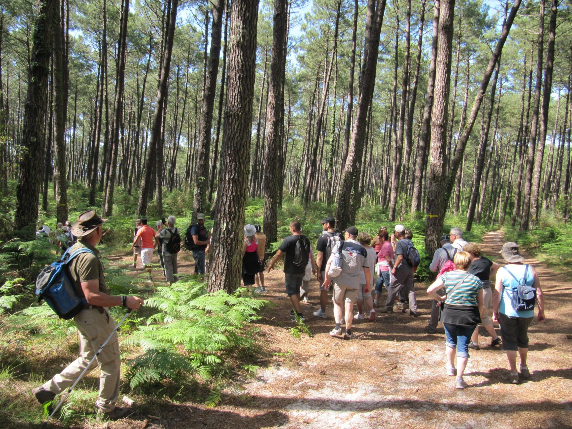 Cap Océan Seignosse