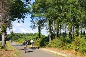 Sejour Groupe Seignosse Hossegor Landes Cyclo