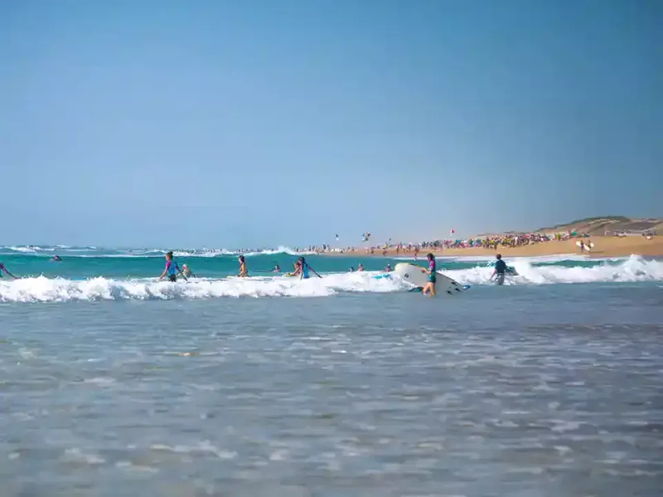 Séminaires dans les Landes