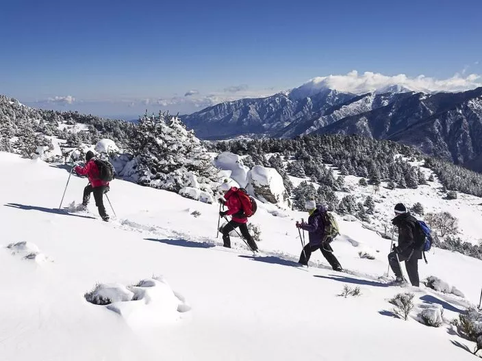 Les Neiges Catalanes