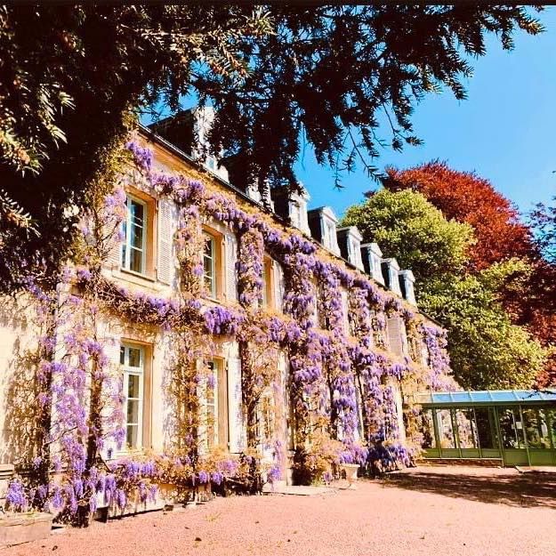 Le Manoir de la Canche - Groupe