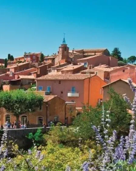 Le Languedoc Roussillon, une région aux mille et une saveurs