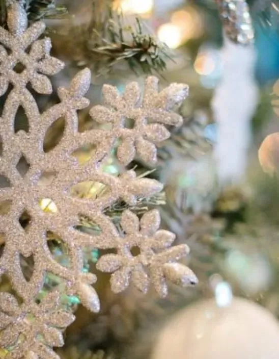 Vacances Noel Nouvel An Au Ski