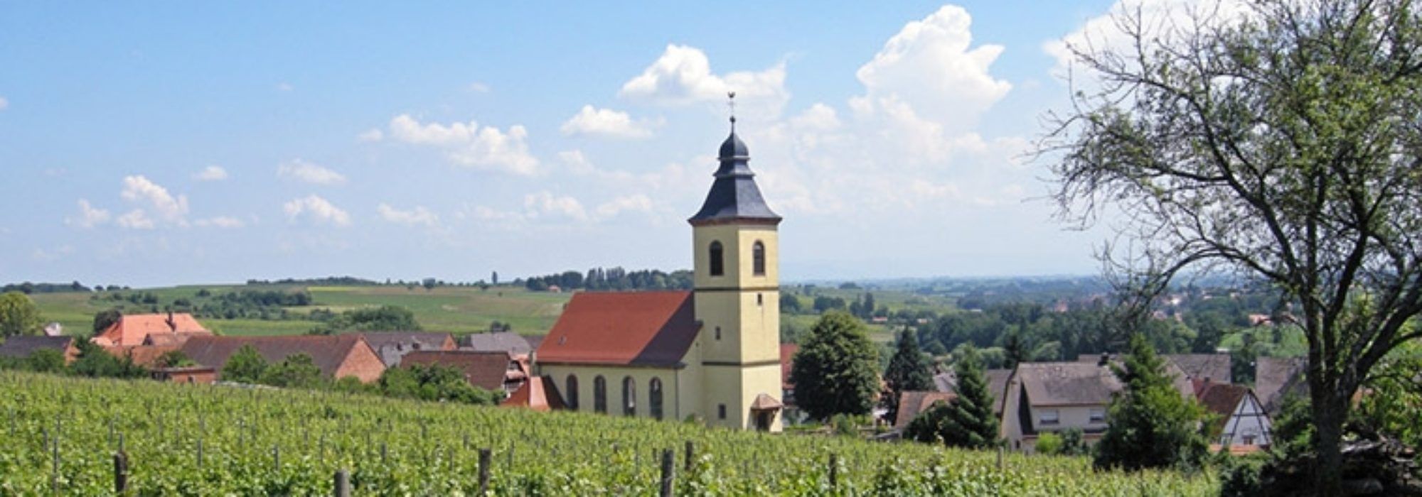 La route des vins d'Alsace - Ternélia