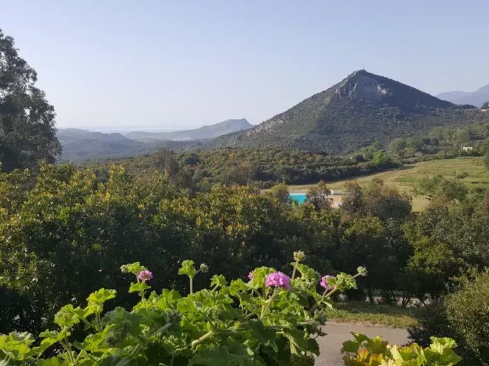 Clémentine de Corse