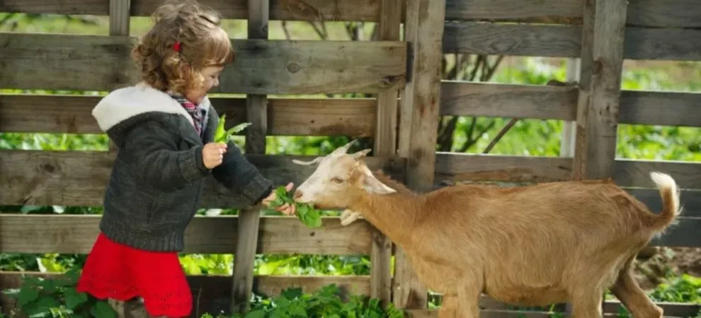 Classe découverte dans les Alpes