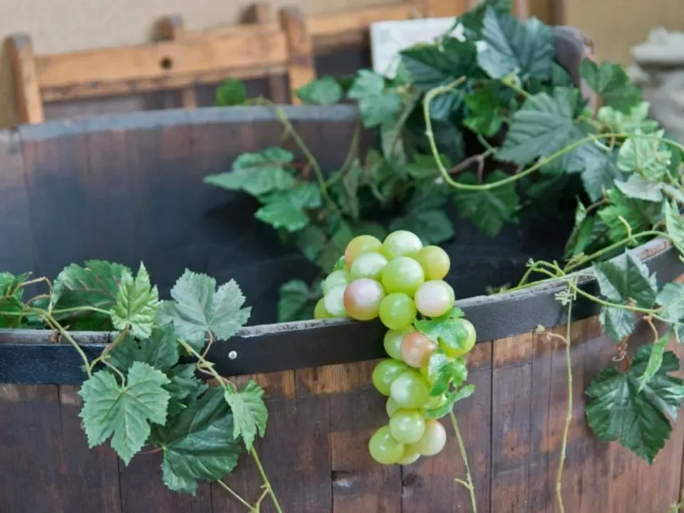 Voyage dans le vignoble de Nantes