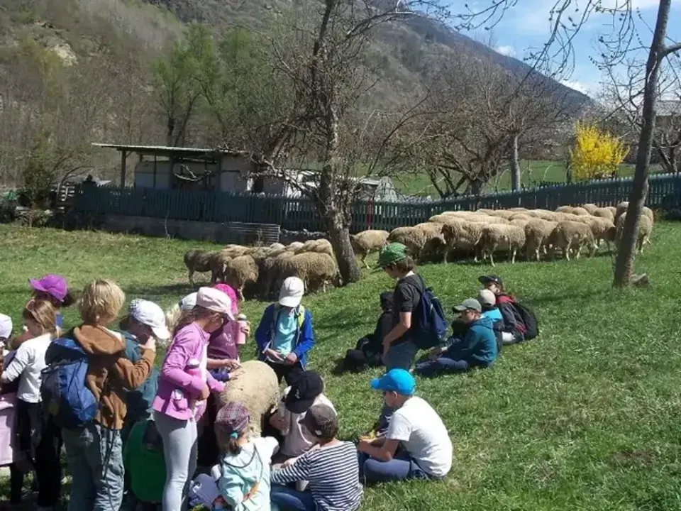 Classe verte dans le Parc du Mercantour
