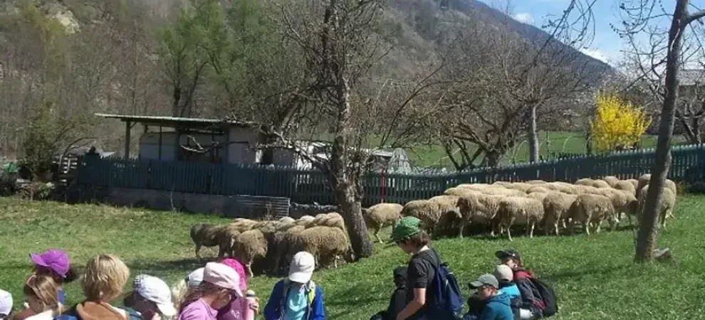 Classe verte dans le Parc du Mercantour