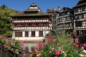 Gout Terroir Alsace Patrimoine Decouverte Munster Strasbourg