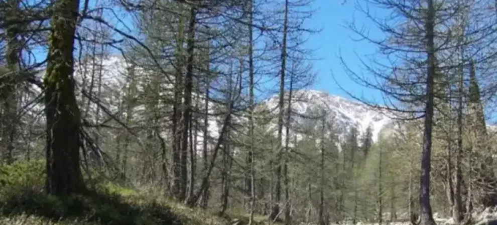 Montagnes et patrimoine du Mercantour