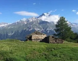 Les Terrasses des Bottières ***