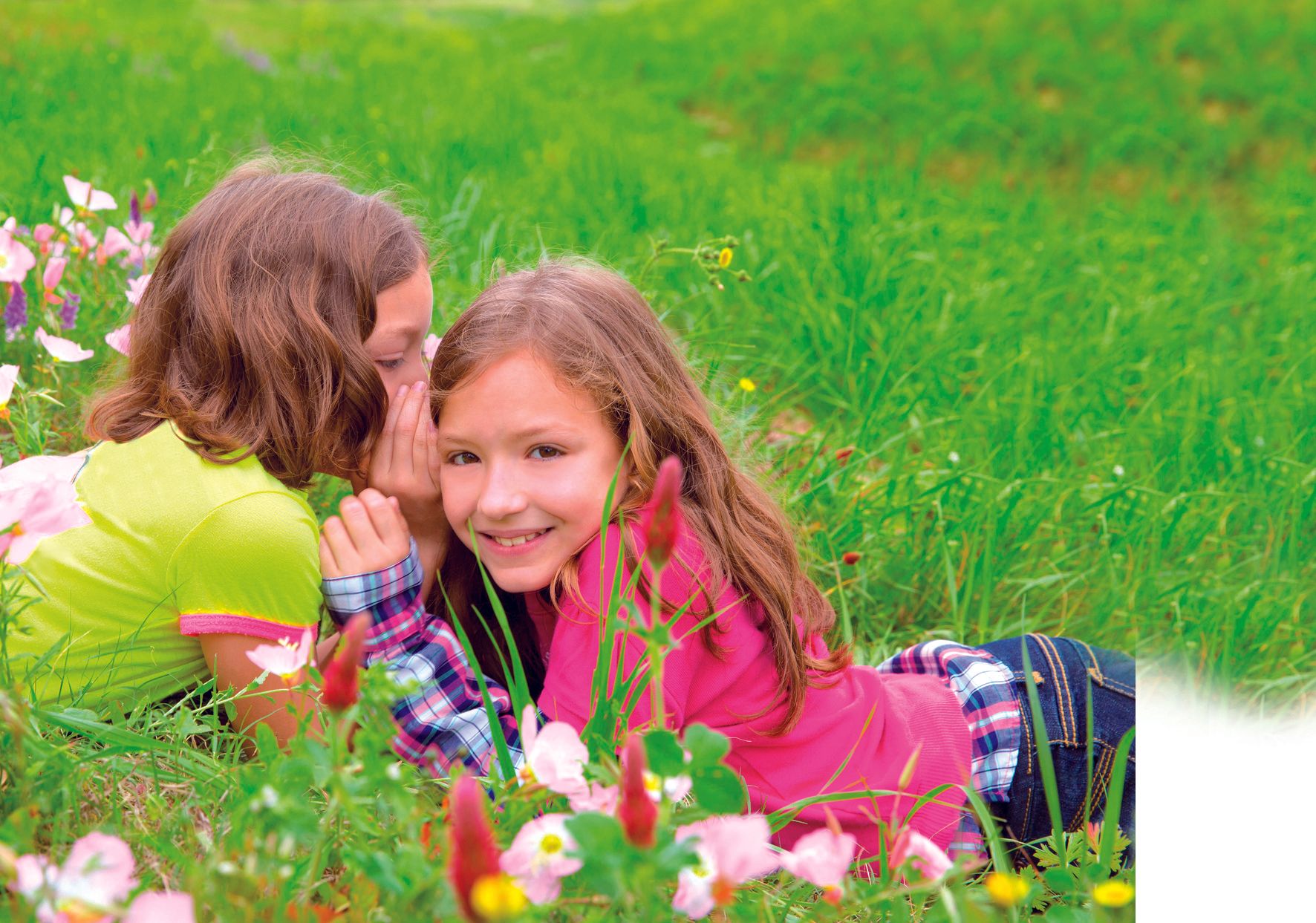 Happy Twin Sister Girls Playing Whispering Ear In Meadow