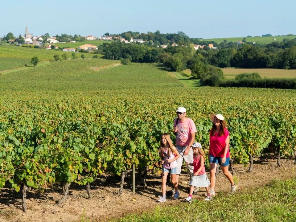 Randonner dans le Vignoble de Nantes