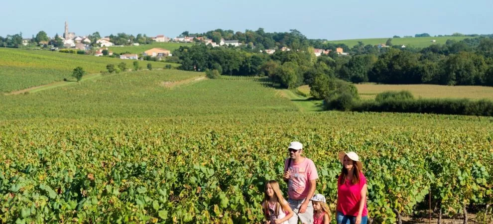Randonner dans le Vignoble de Nantes
