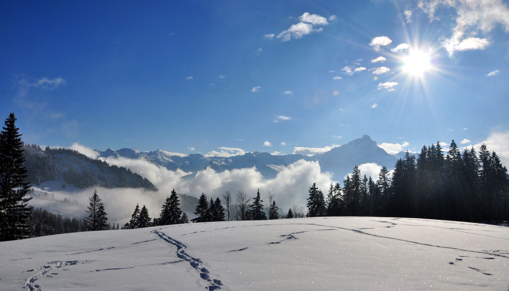 Soleil En Haute Montagne