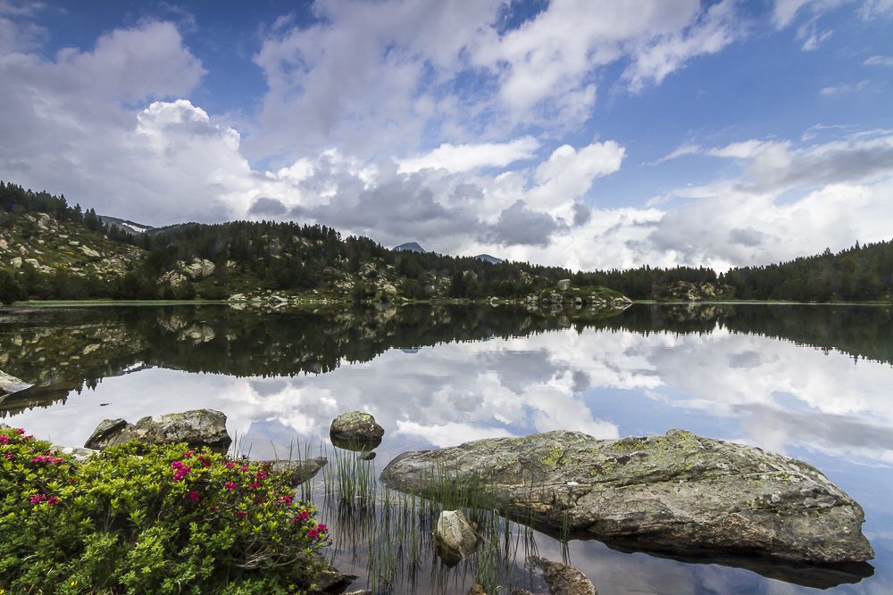 Reflet des nuages dans un lac en été