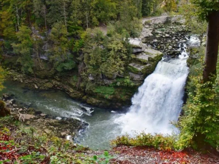 La saucisse de Morteau