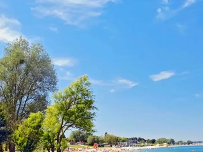 Le Parc Naturel Régional de la Forêt d’Orient