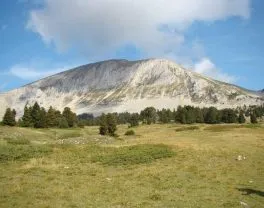 Auberge du Tetras Lyre 2024 - montagne