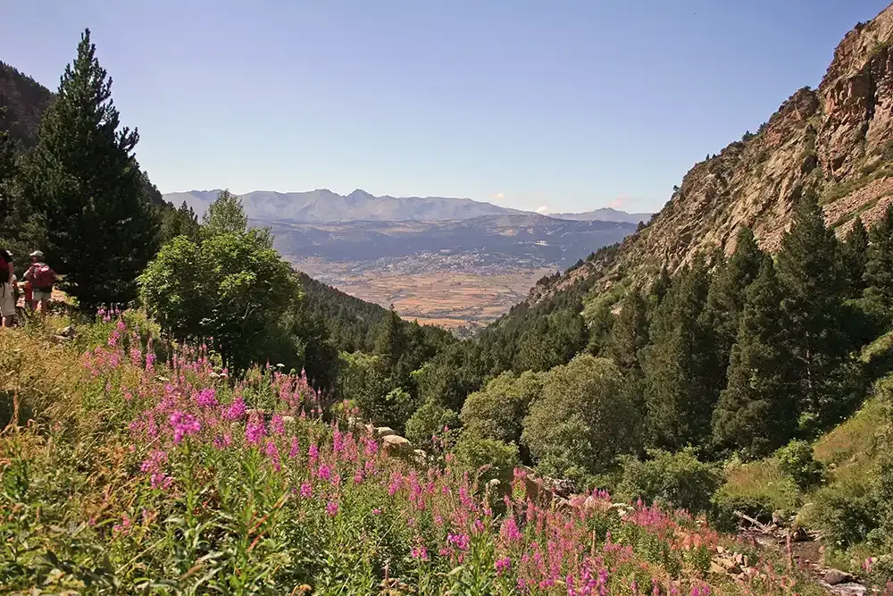 Ete Oxygene Reprise Activite 2024