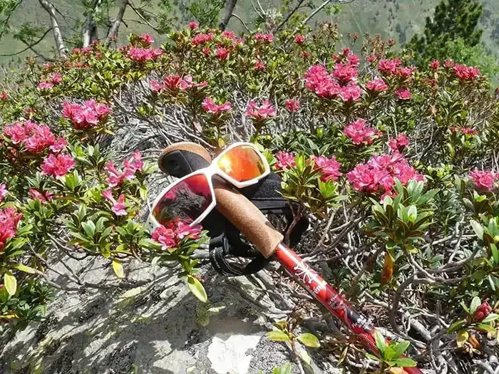 Ete Oxygene Reprise Activite