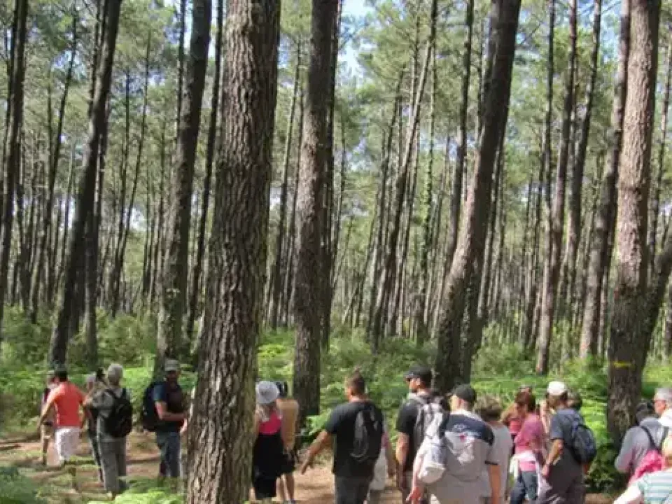 Randonnée douce à la découverte des Landes et du Pays Basque