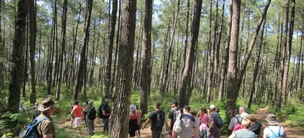 Randonnée douce à la découverte des Landes et du Pays Basque