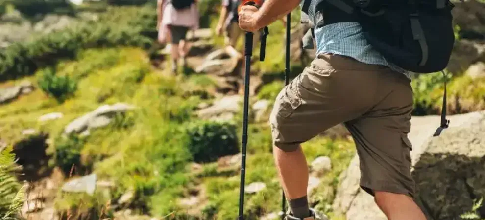Séjour randonnée en Vendée