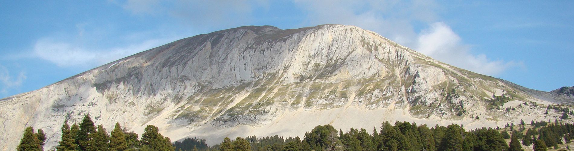 Auberge du Tetras Lyre **