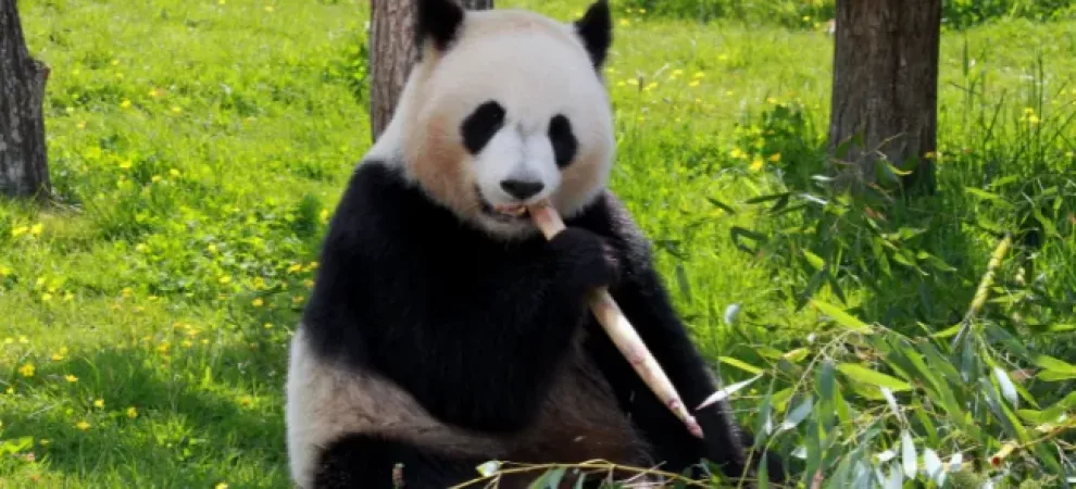 Séjours – Rendez vous avec les animaux