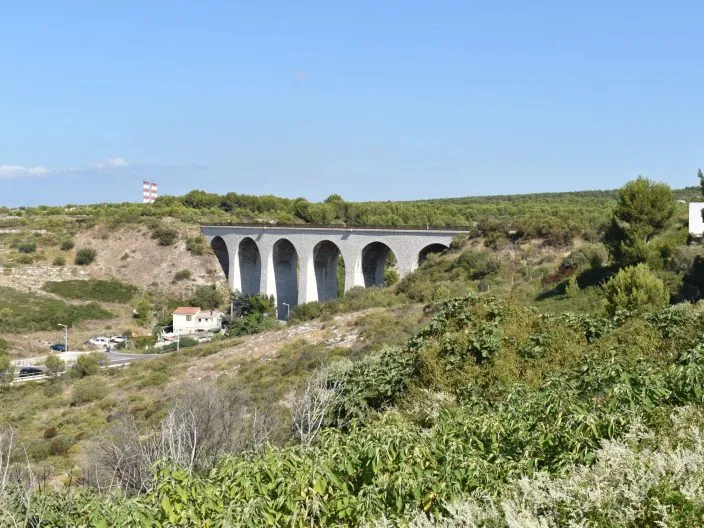 Petits farcis provençaux