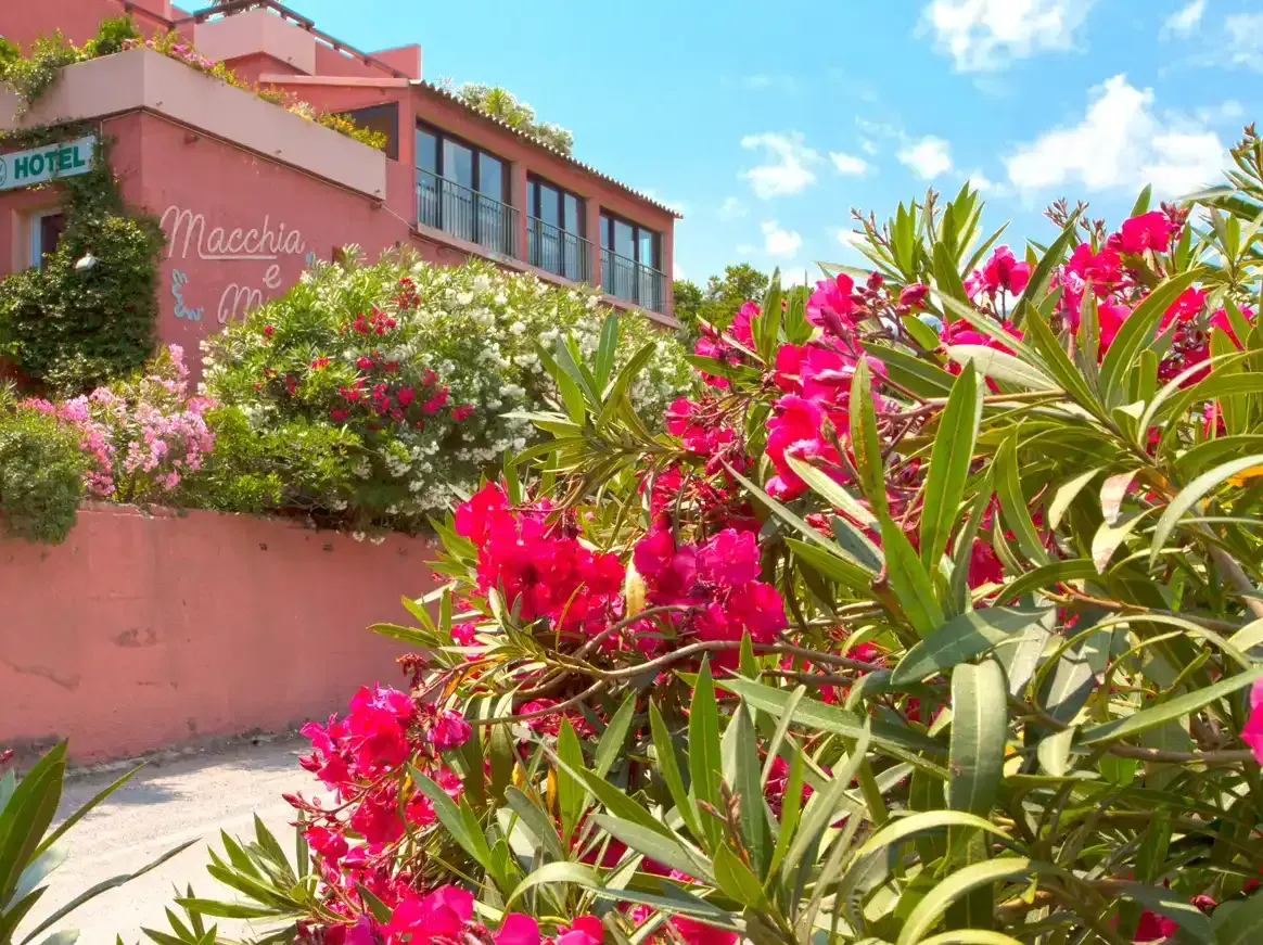 Hôtel Macchia e Mare Exterieur