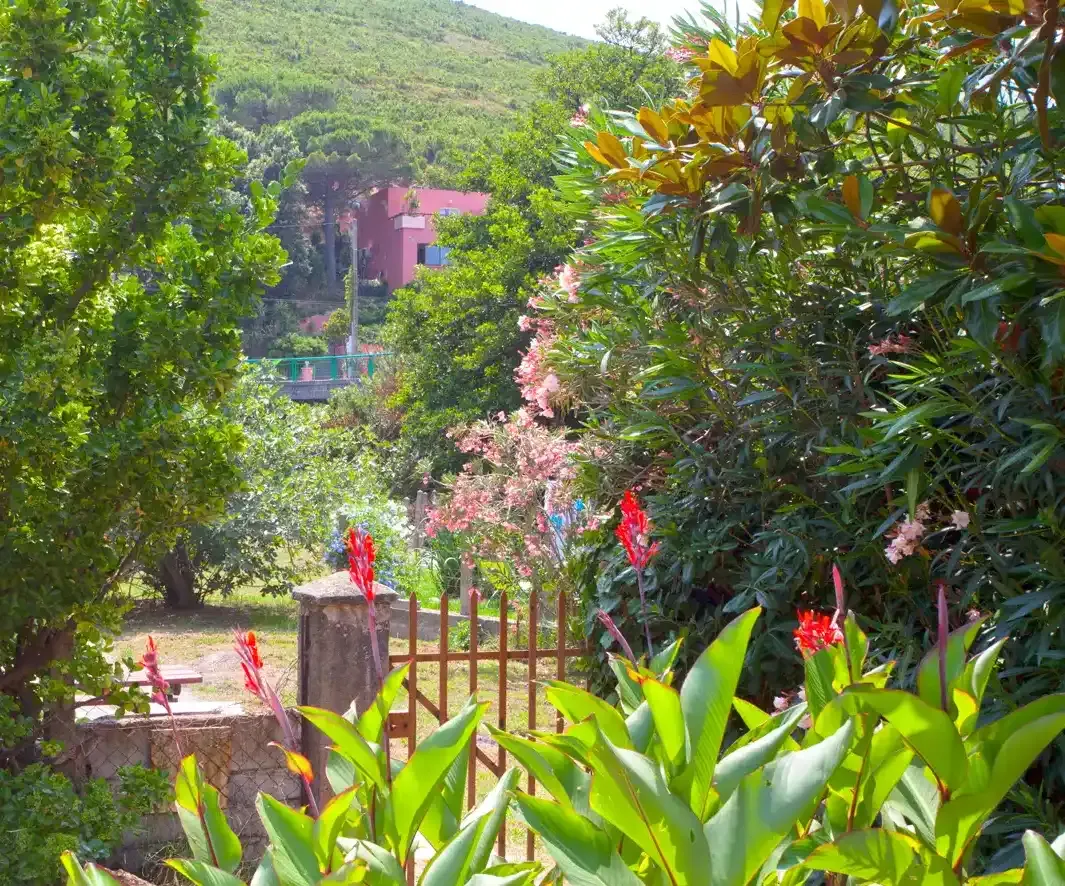 Hôtel Macchia e Mare Exterieur