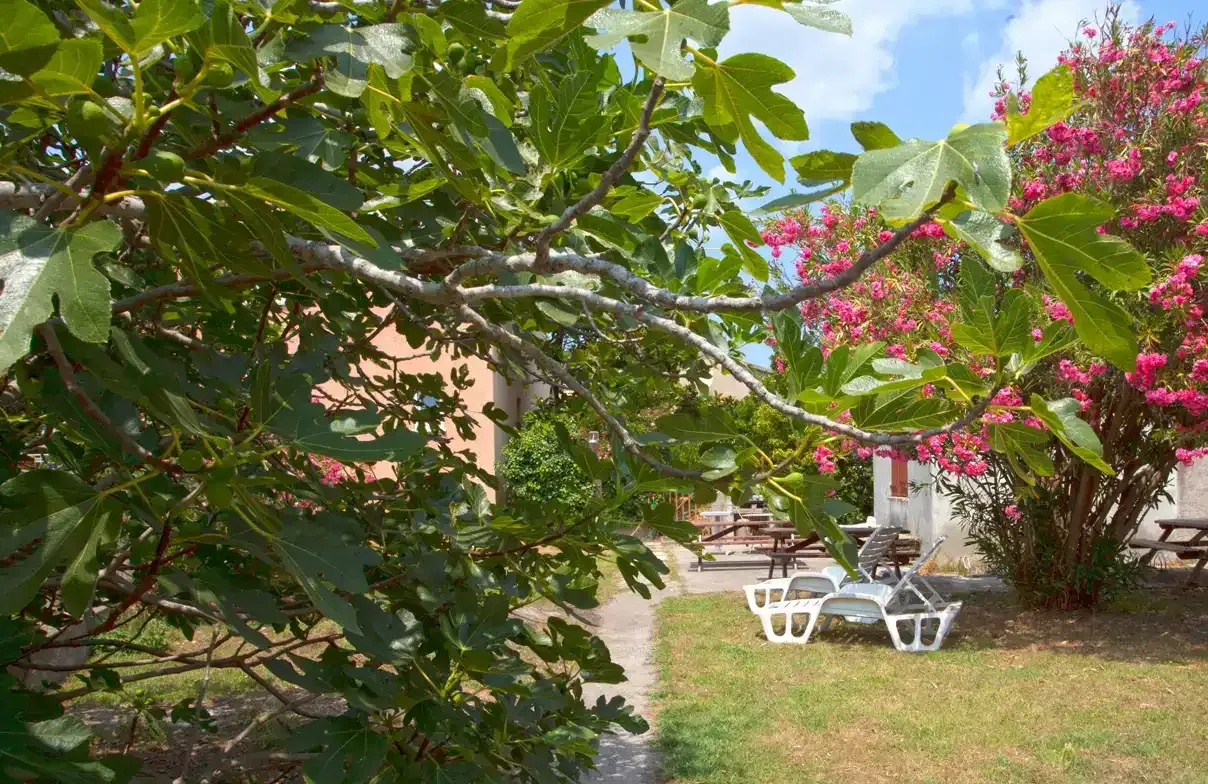 Hôtel Macchia E Mare Vue Paysage 2024