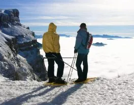 SKI