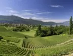 Vignoble De Savoie