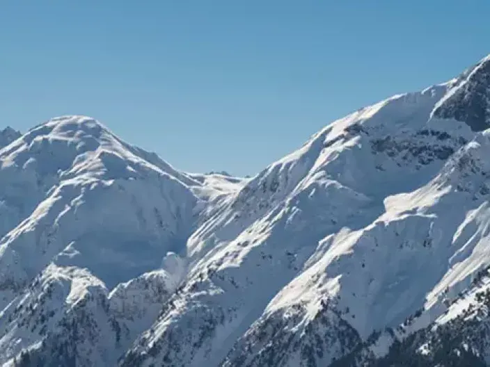 Les Diots marinés au vin de Savoie