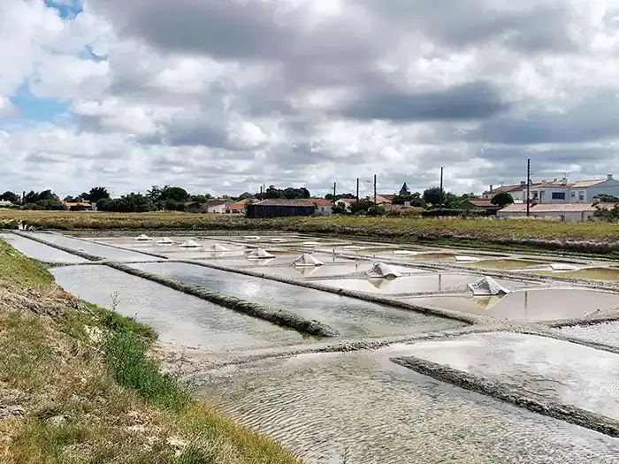 LA CAILLEBOTTIERE Paysage