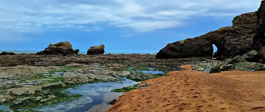 LA CAILLEBOTTIERE Plage 2024