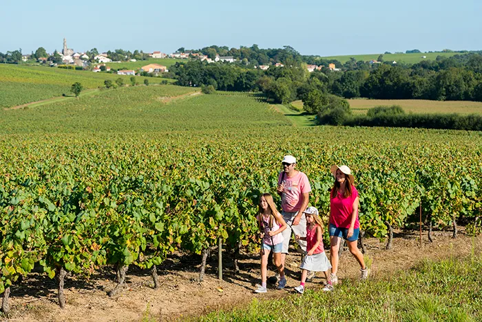 Pays De Loire Paysage Randonée