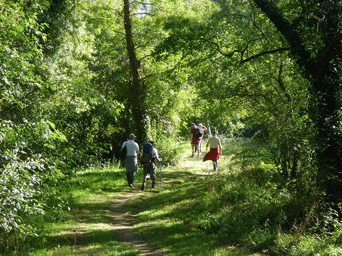 Pays De Loire Paysage Randonnée Clisson