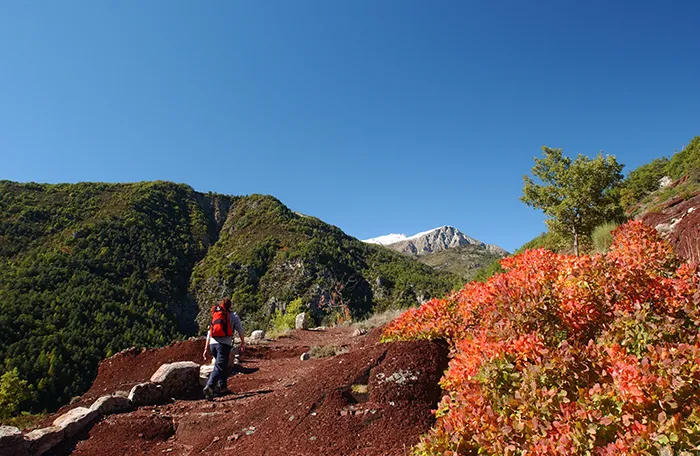 Paysage Des Alpes Maritimes Randonée