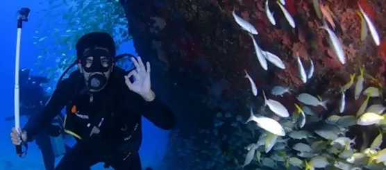 Plonge Sari Solenzara